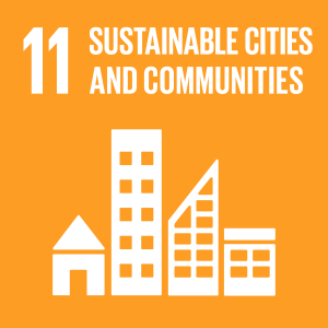 Global sustainability goal 11