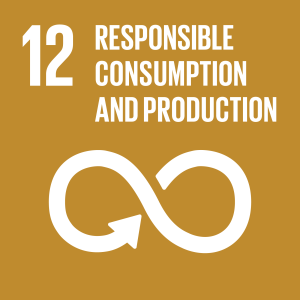 Global sustainability goal 12